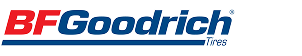 BFGoodrich G-Force Winter 2 195/55 R16 91H XL